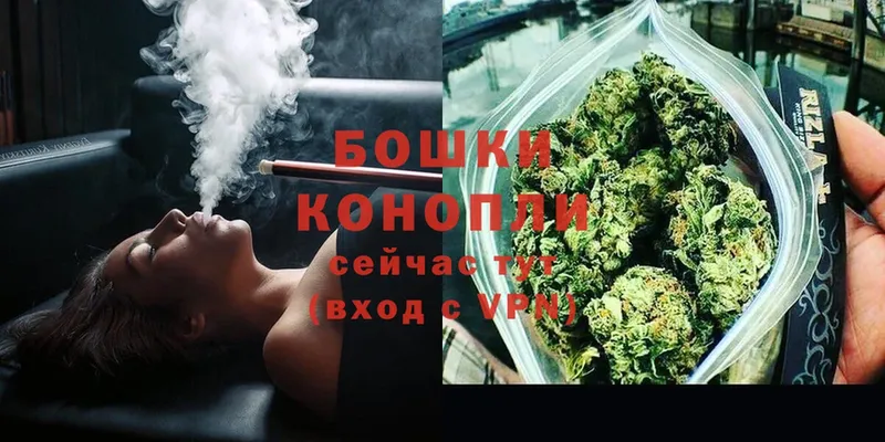 Бошки марихуана SATIVA & INDICA  Кызыл 